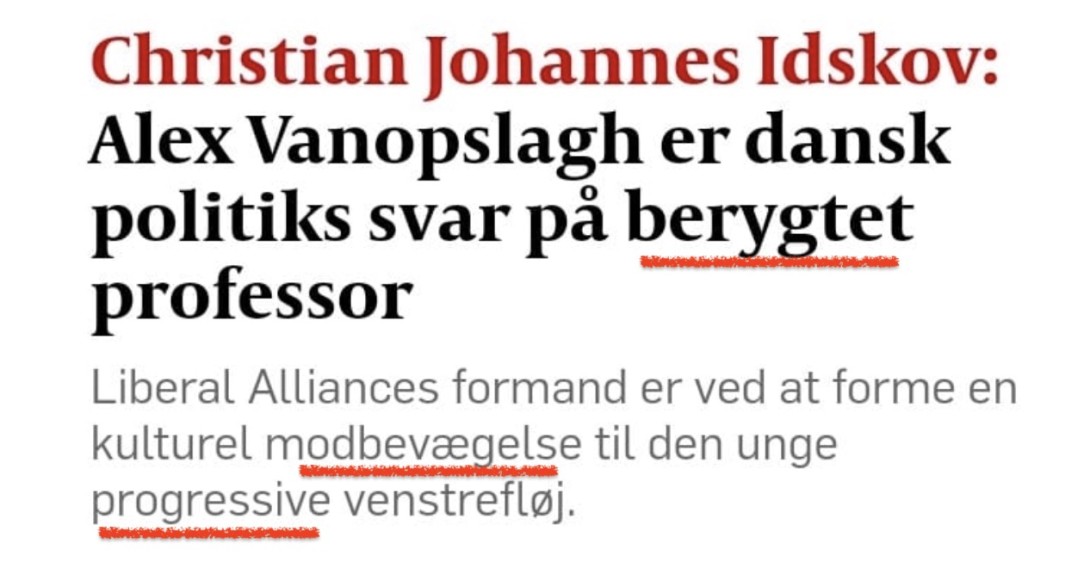 Screenshot fra Politiken